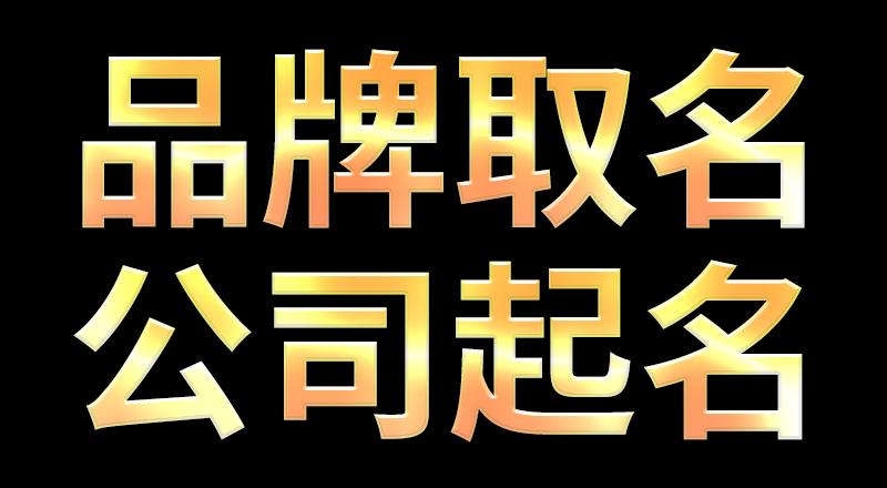 公司起名字大全免费带毅